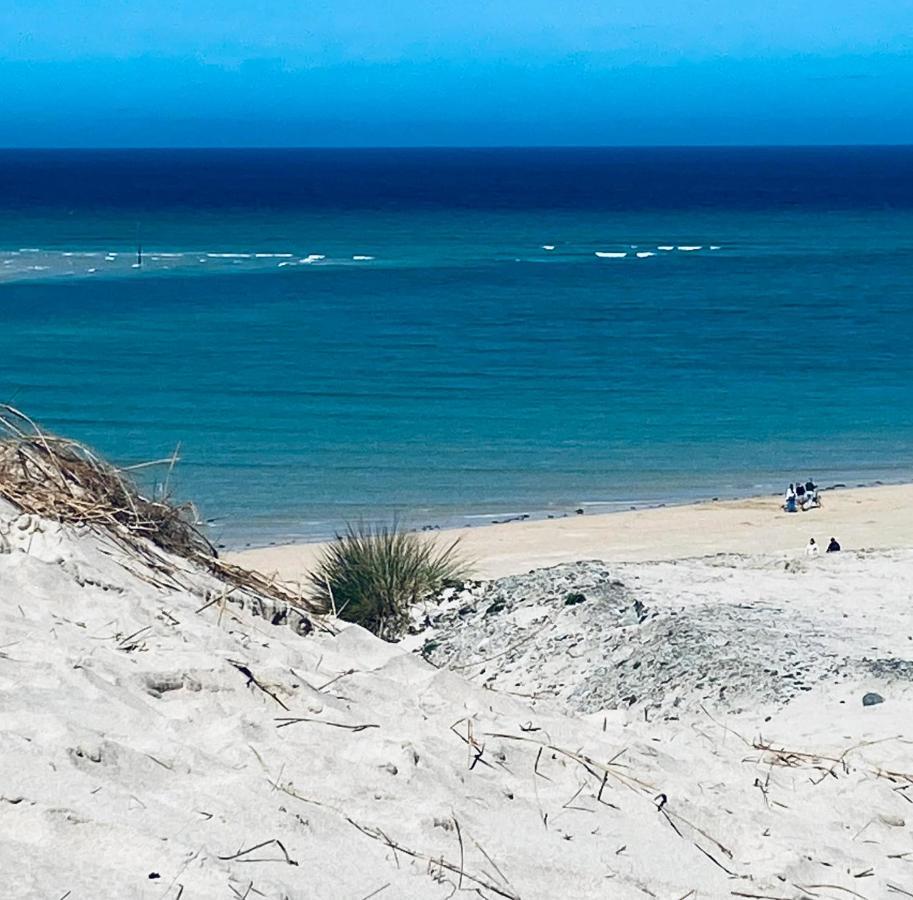 Sandy Bay Apartment, St Ives Bay, Hayle Eksteriør billede